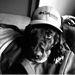 Meet your Posher, Joel